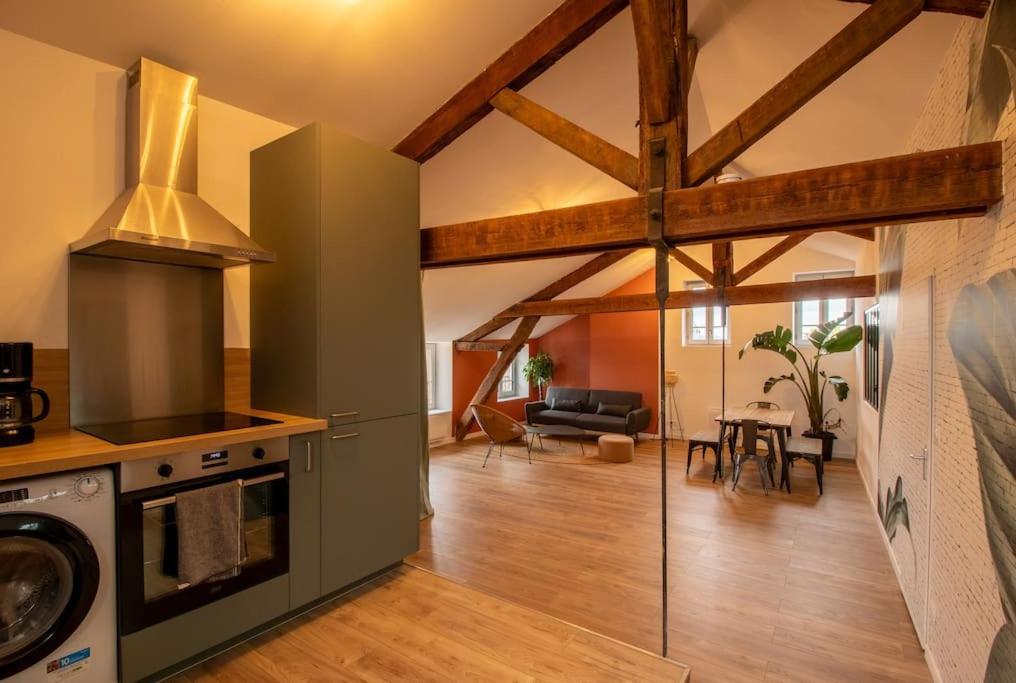 דירות Loft Atelier Hyper Centre אלבי מראה חיצוני תמונה